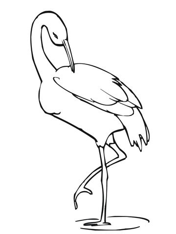 Crane Stands On One Leg Coloring Page